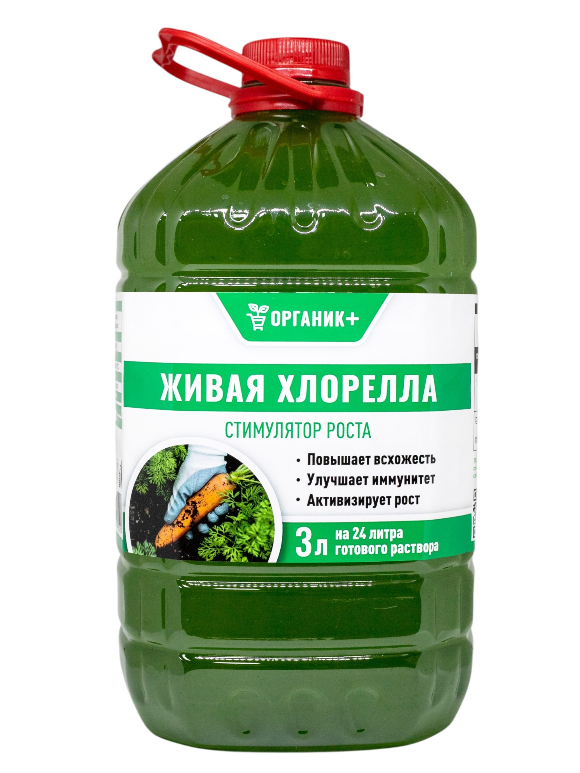 ХЛОРЕЛЛА 3Л (1)