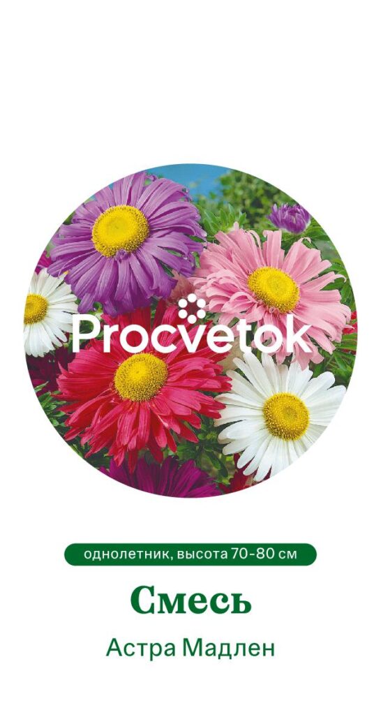Астра МАДЛЕН смесь