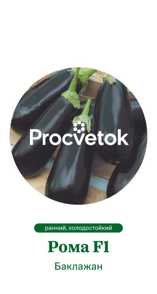 Баклажан Рома