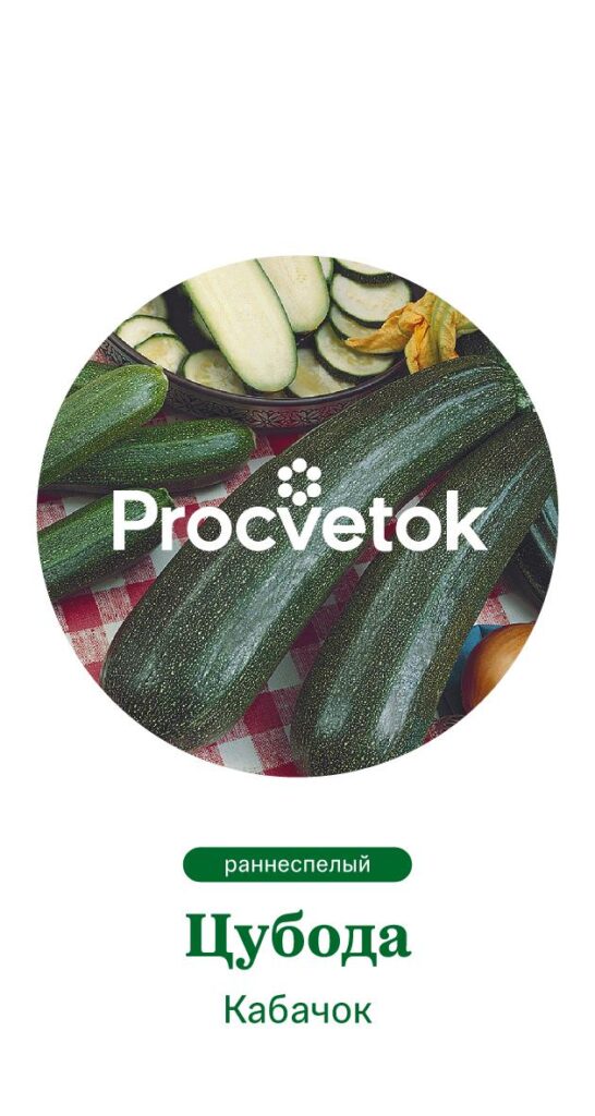 Кабачок Цубода