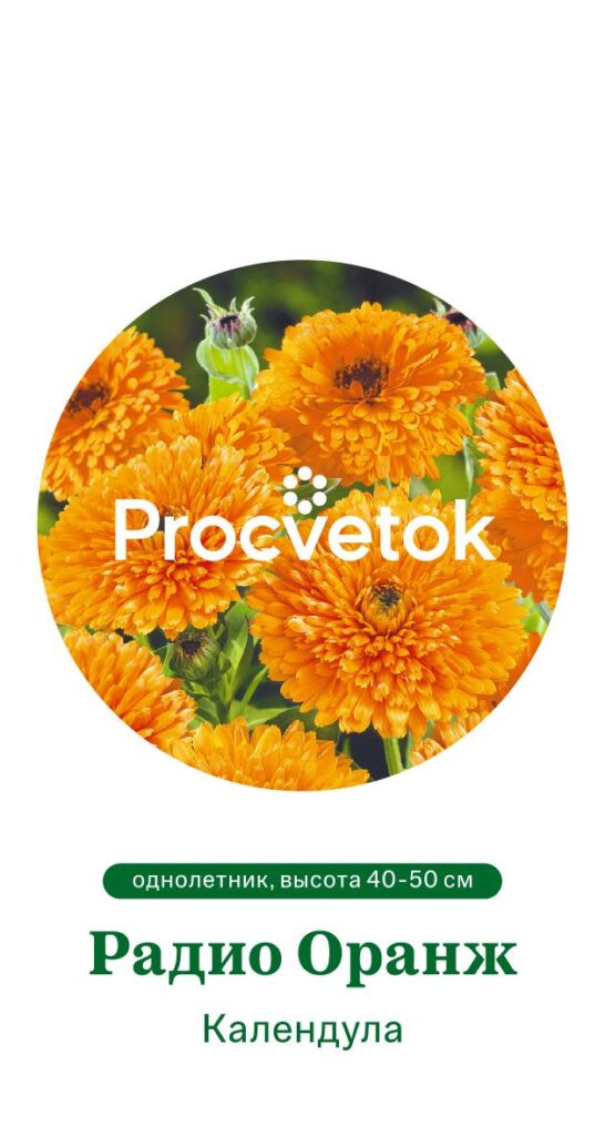 Календула РАДИО ОРАНЖ