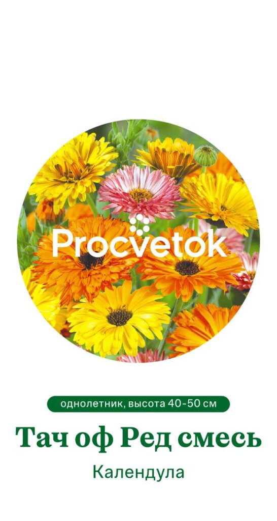 Календула ТАЧ ОФ РЕД СМЕСЬ