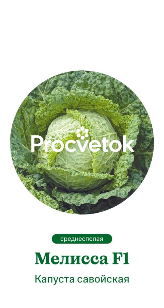 Капуста савойская Мелисса