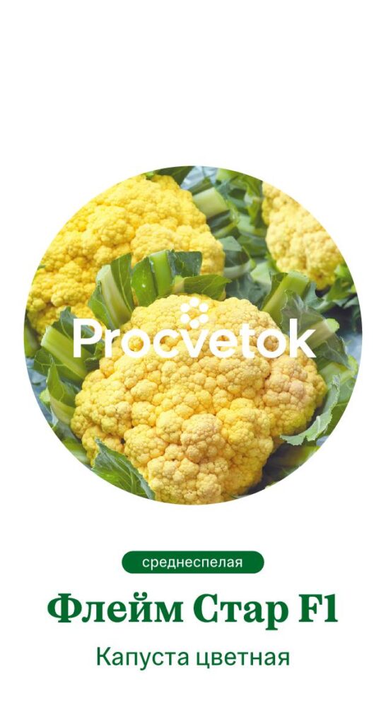 Капуста цветная Флейм Стар