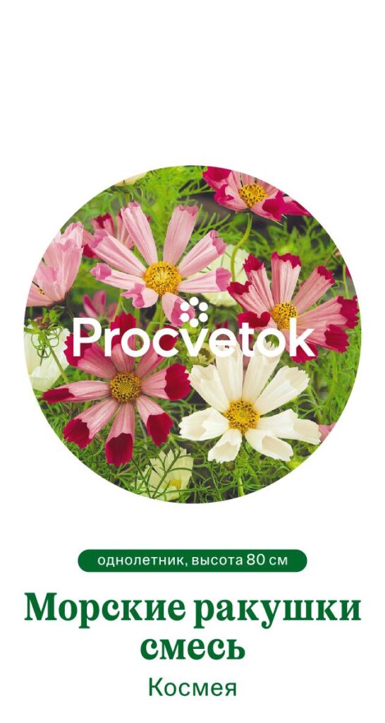 Космея МОРСКИЕ РАКУШКИ смесь