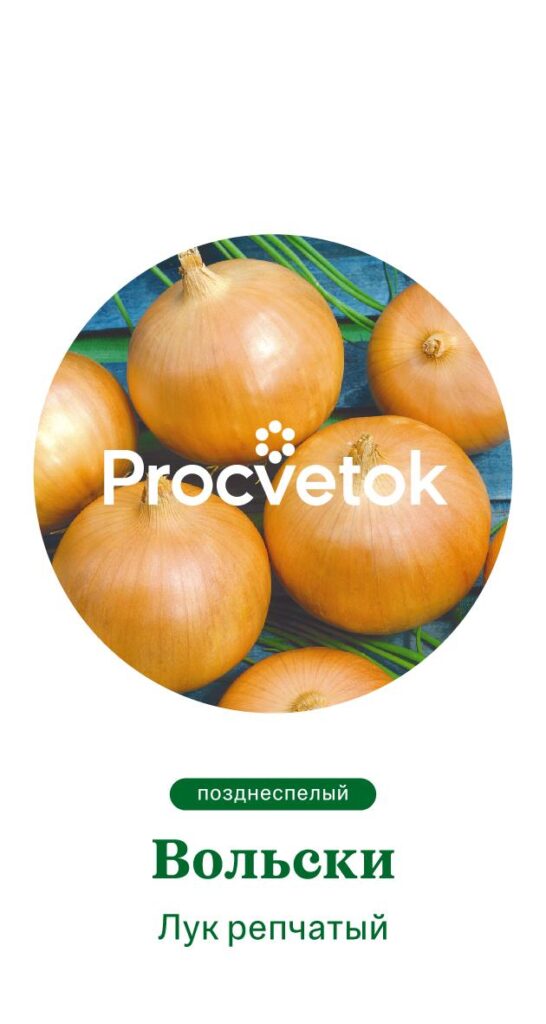 Лук репчатый ВОЛЬСКИ