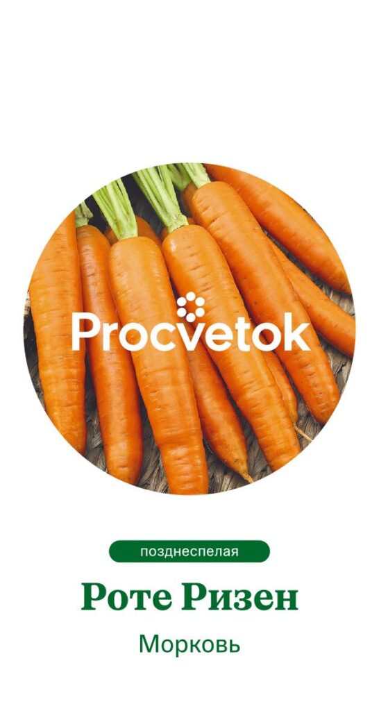 Морковь Роте Ризен
