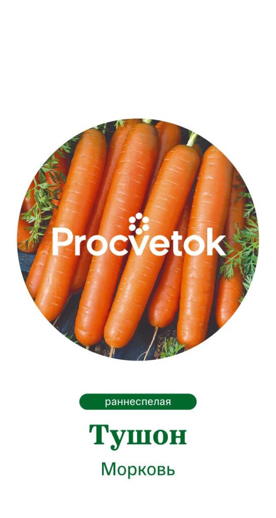 Морковь Тушон