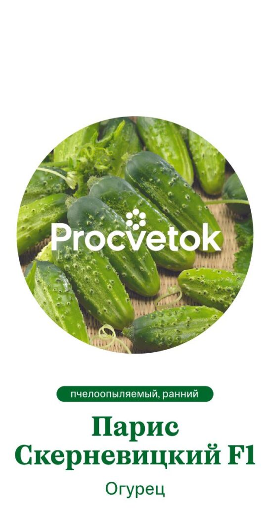 Огурец Парис Скерневицкий