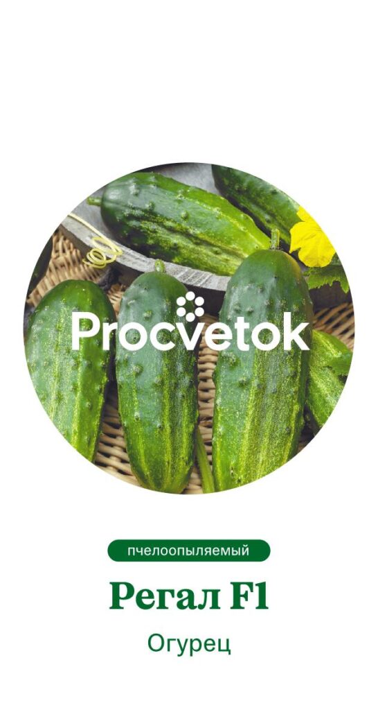 Огурец Регал