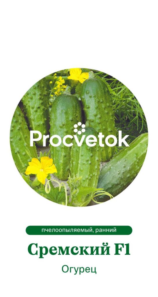 Огурец Сремский