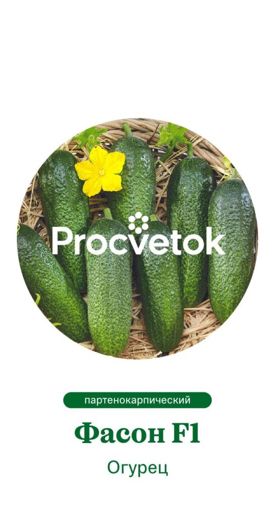 Огурец Фасон