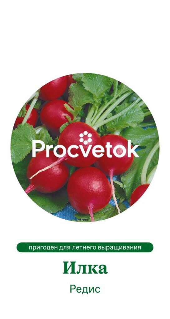 Редис Илка