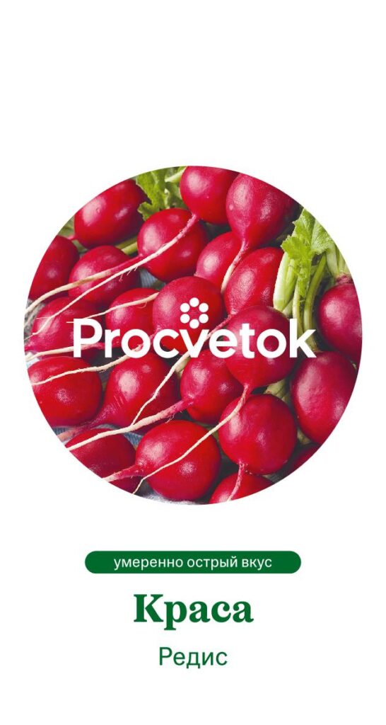 Редис Краса